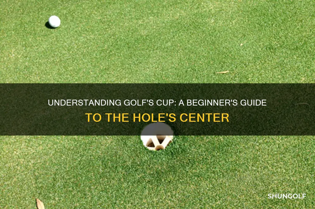 what is a cup in golf