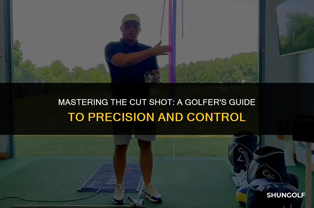 what is a cut shot in golf