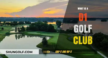 Understanding the D1 Golf Club: Features, Uses, and Benefits