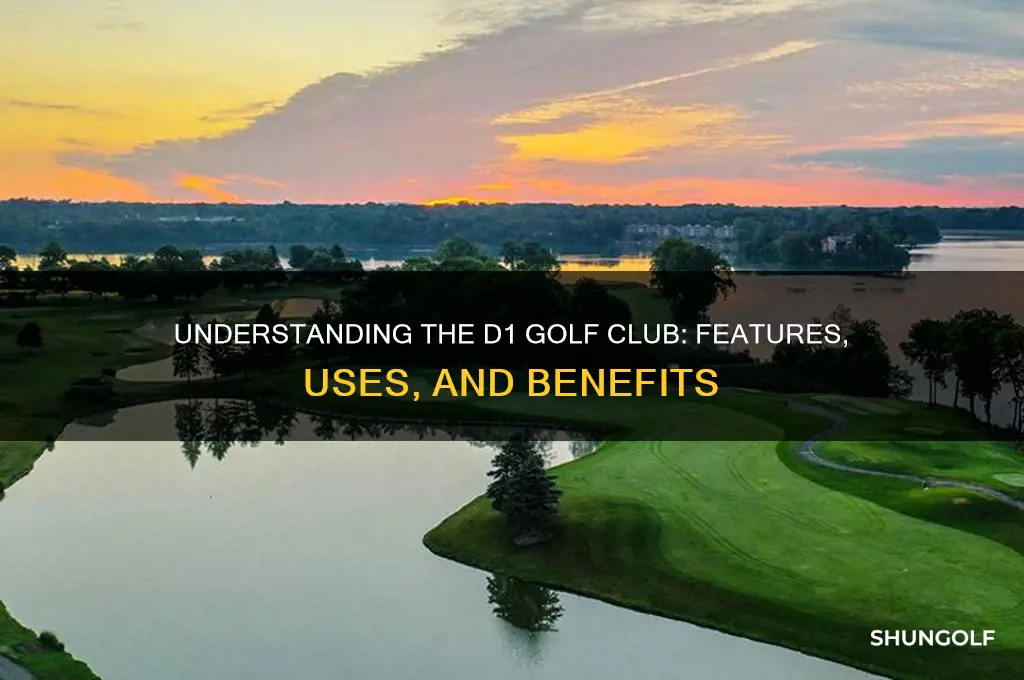 what is a d1 golf club