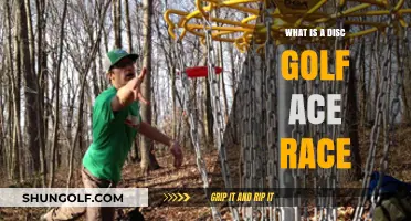 Exploring the Thrilling World of Disc Golf Ace Races
