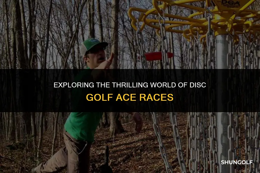 what is a disc golf ace race
