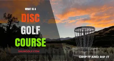 Exploring Disc Golf: Understanding the Layout of a Course