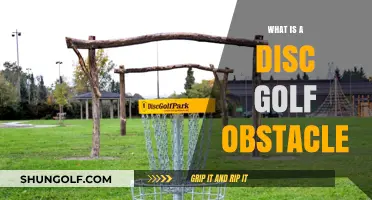 Navigating the Course: Understanding Disc Golf Obstacles