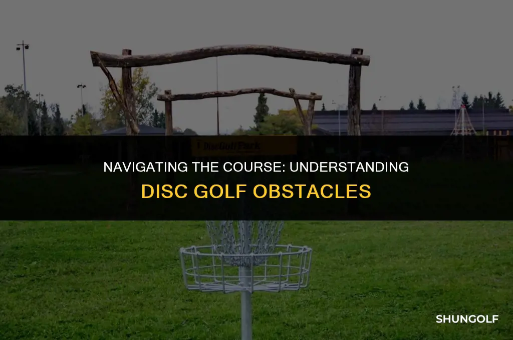 what is a disc golf obstacle
