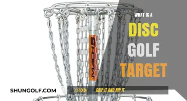 Exploring the Heart of the Game: What is a Disc Golf Target?