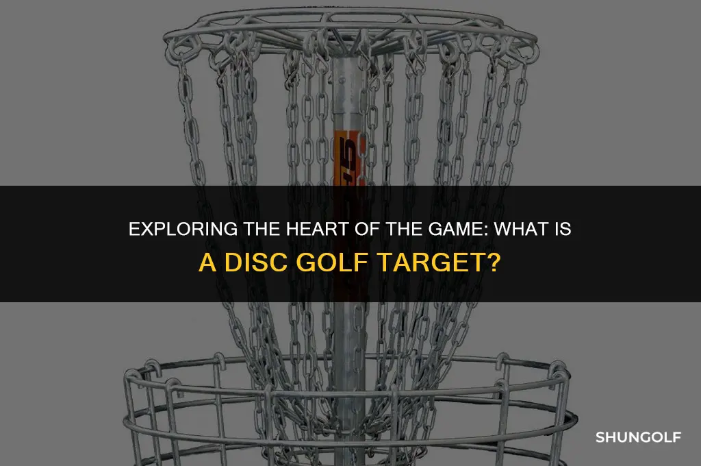 what is a disc golf target