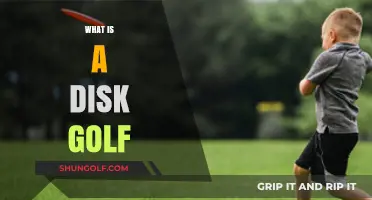 Discover the Exciting World of Disc Golf: A Beginner's Guide