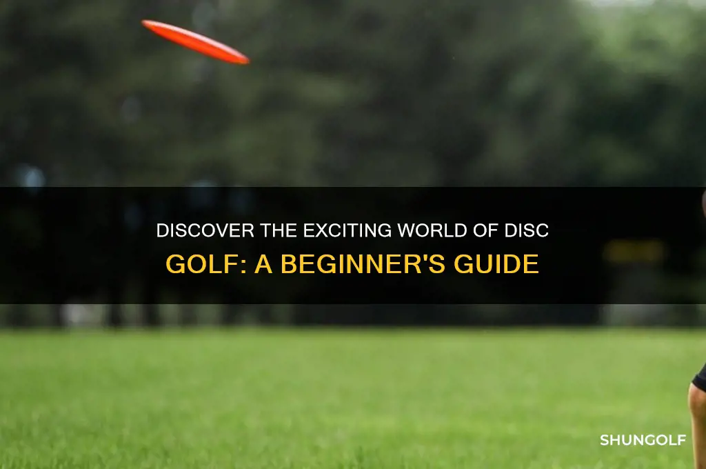 what is a disk golf