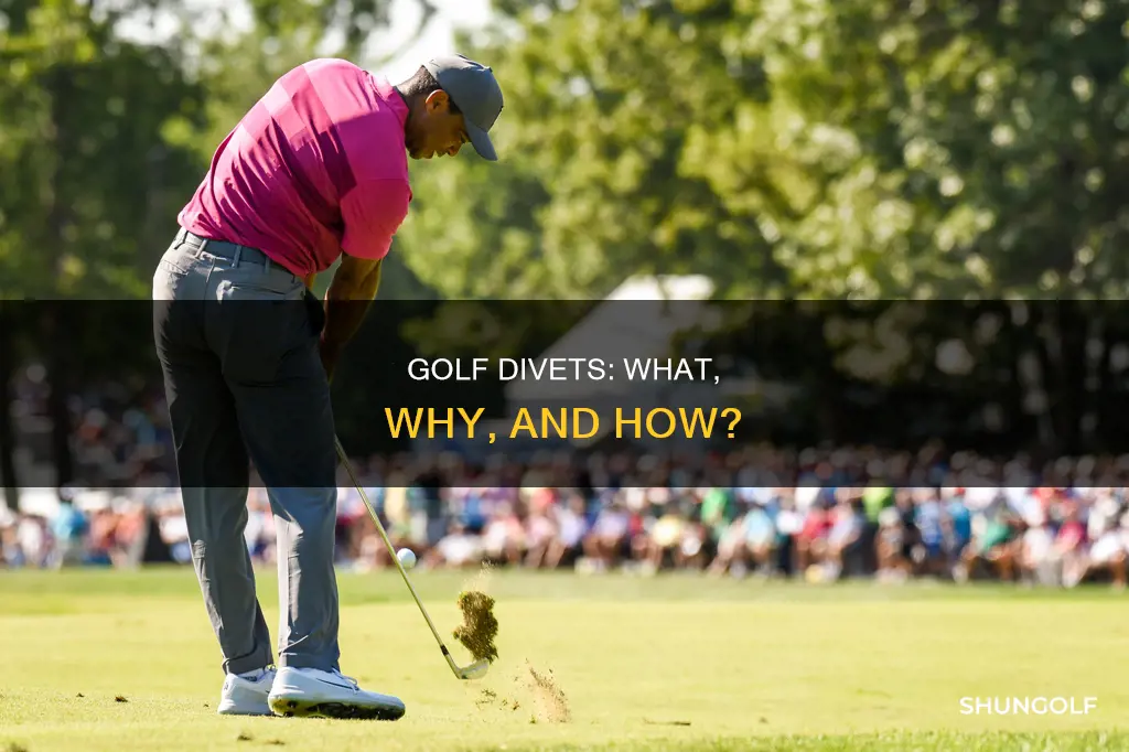 what is a divet in golf