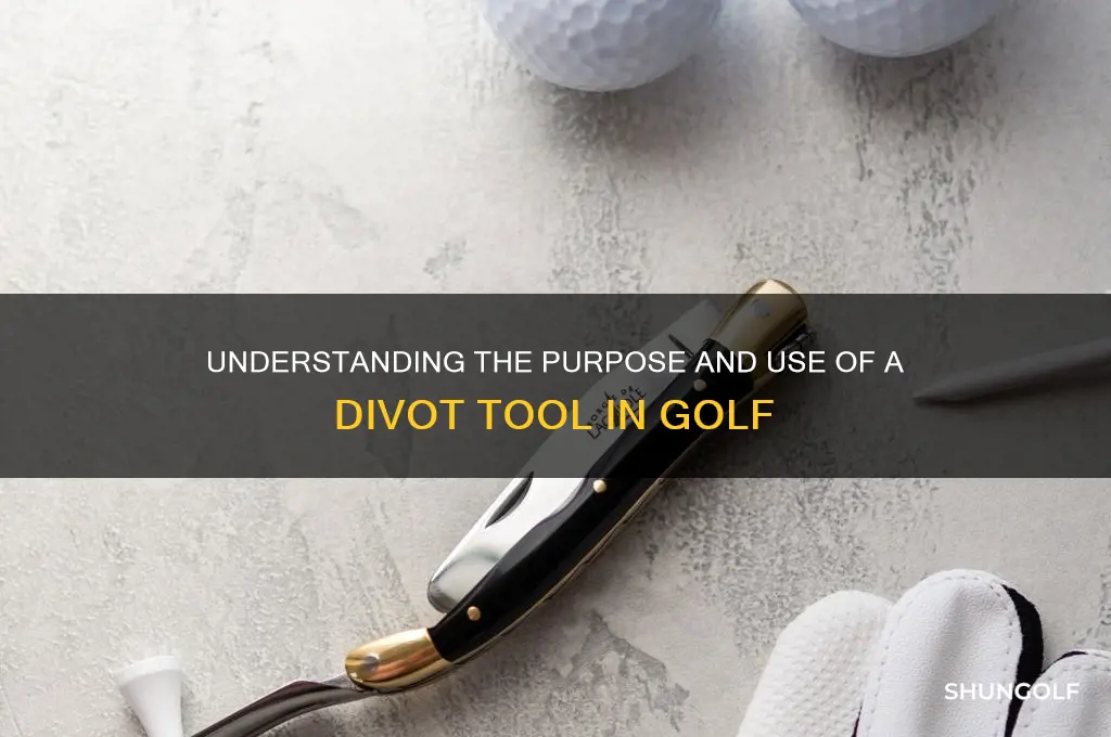 what is a divot tool golf