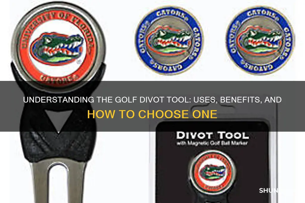 what is a divot tool in golf
