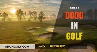 Understanding the Dodo in Golf: A Beginner's Guide to the Term