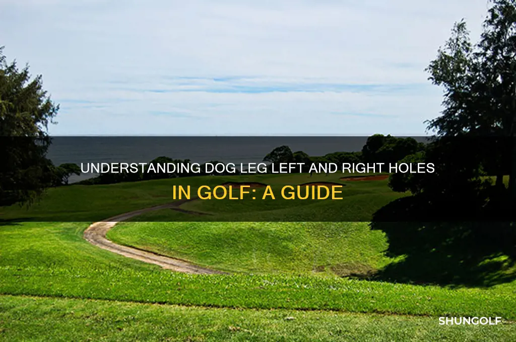 what is a dog leg left right in golf