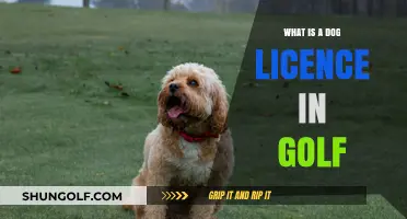 Understanding the Dog License Rule in Golf: A Beginner's Guide