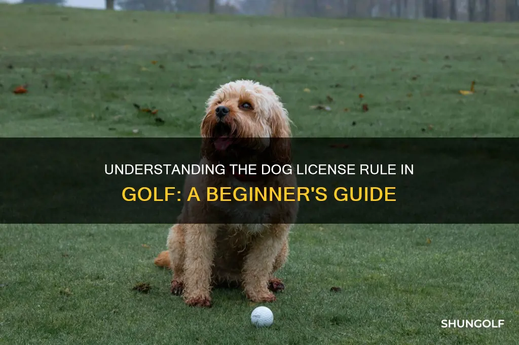 what is a dog licence in golf