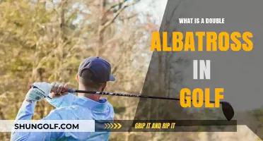 Understanding the Rare Double Albatross in Golf: A Comprehensive Guide