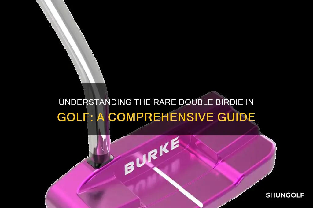 what is a double birdie in golf
