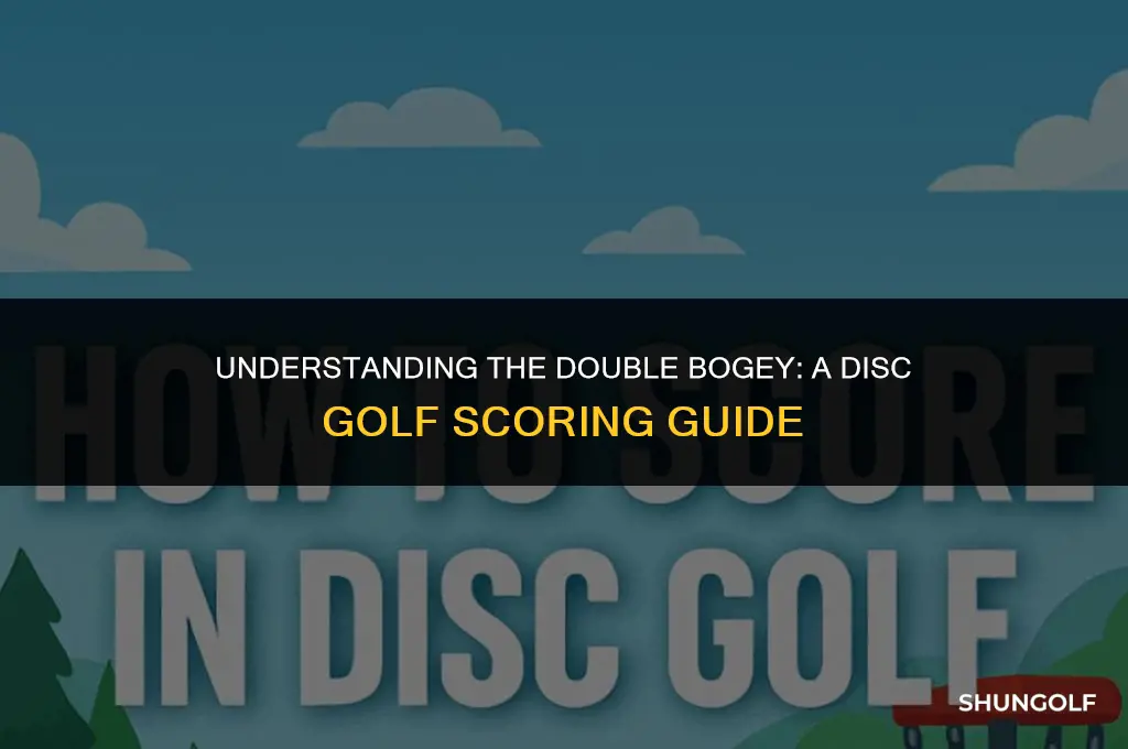 what is a double bogey in disc golf