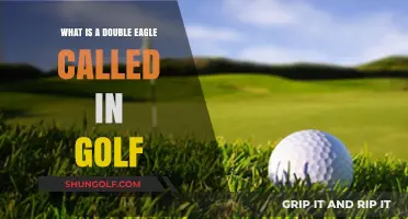Understanding the Prestigious Double Eagle in Golf: What's It Called?