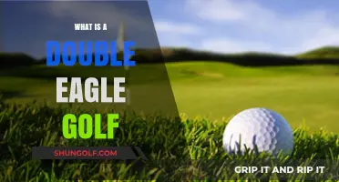 Understanding the Double Eagle: A Rare Golf Achievement Explained