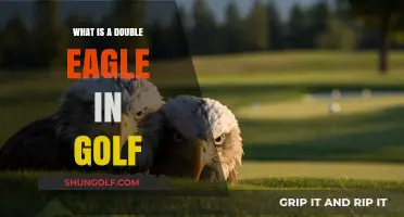 Understanding the Double Eagle: Golf's Rare and Exciting Scoring Feat