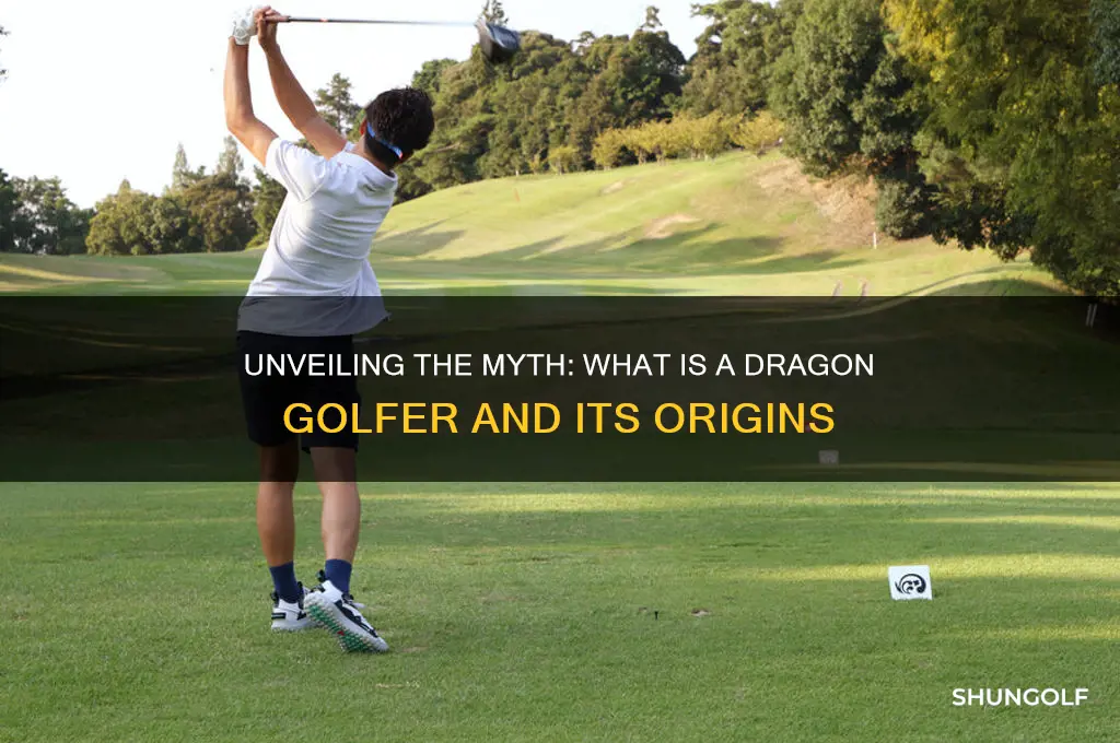 what is a dragon golfer