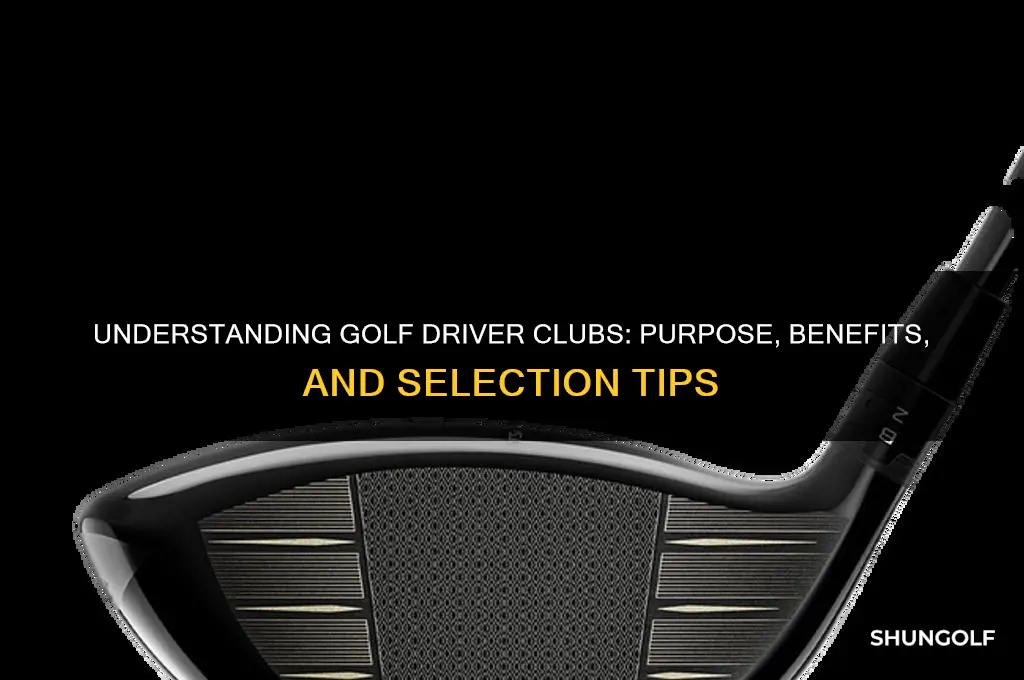 what is a driver club in golf