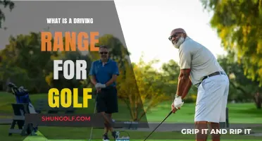 Master Your Swing: Understanding Golf's Driving Range Essentials