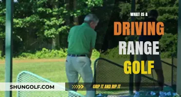 Master Your Swing: Understanding the Driving Range Golf Experience