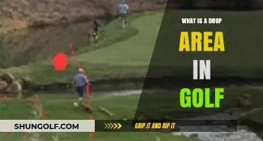 Understanding Golf's Drop Area: Rules, Purpose, and Strategic Use