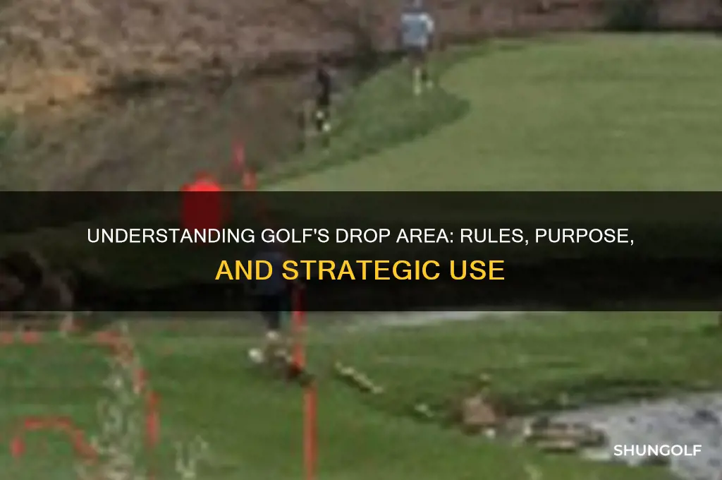 what is a drop area in golf