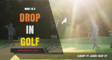 Understanding Drop in Golf: Rules, Techniques, and Proper Usage Explained
