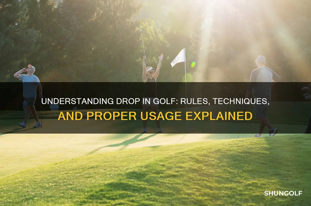 what is a drop in golf