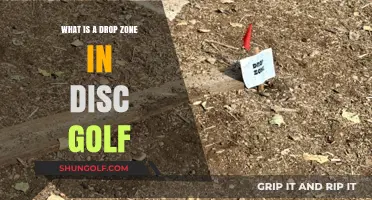 Mastering the Drop Zone: A Disc Golf Essential Explained
