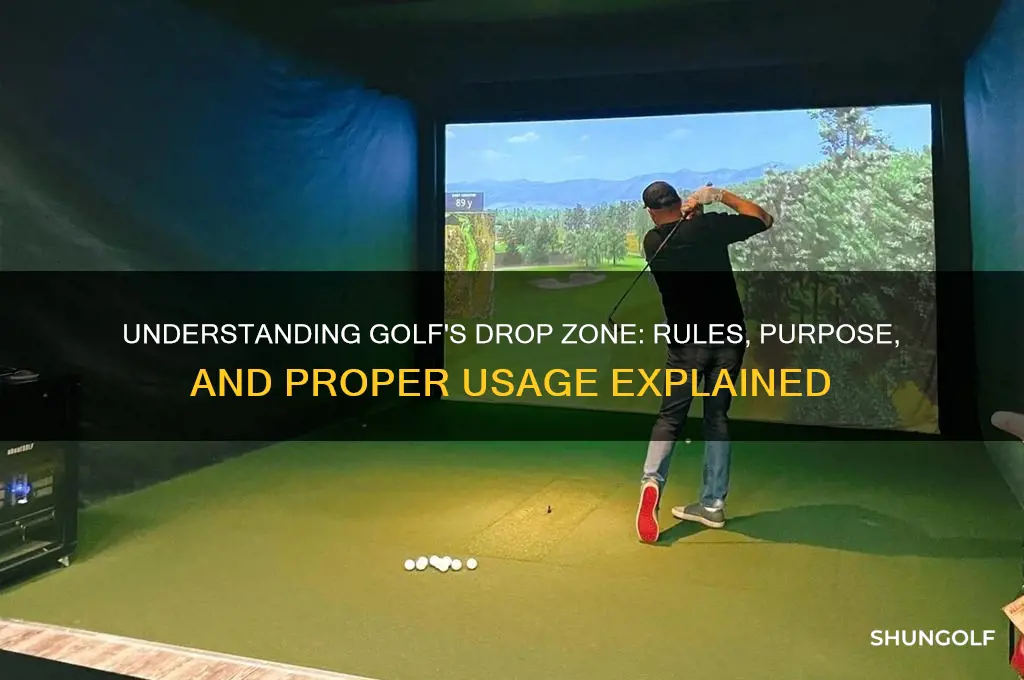 what is a drop zone in golf