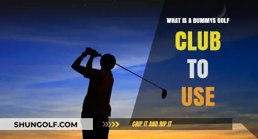 Mastering the Basics: What is a Dummy's Golf Club to Use?