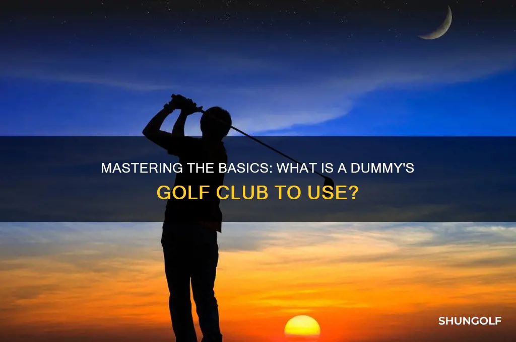 what is a dummys golf club to use