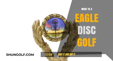 Soaring High: The Ultimate Guide to Eagle Disc Golf