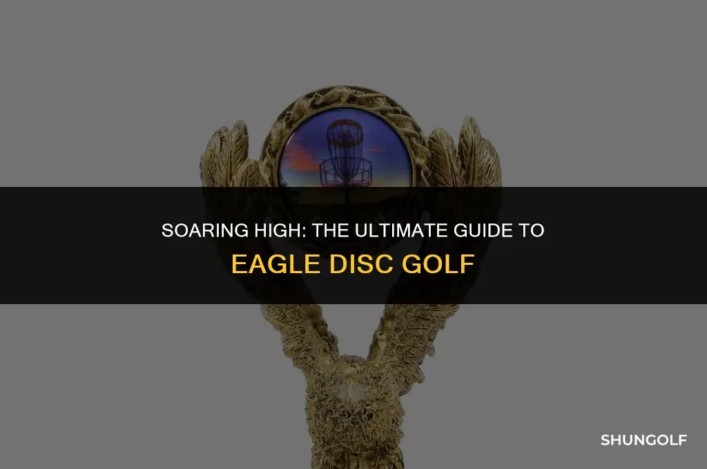 what is a eagle disc golf
