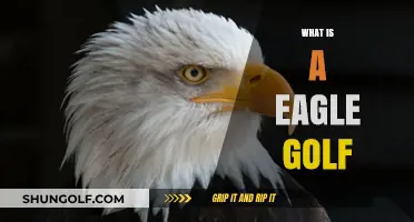 Golf Eagle: How to Score Below Par