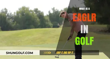 Understanding the Eagle in Golf: Definition, Scoring, and Strategies