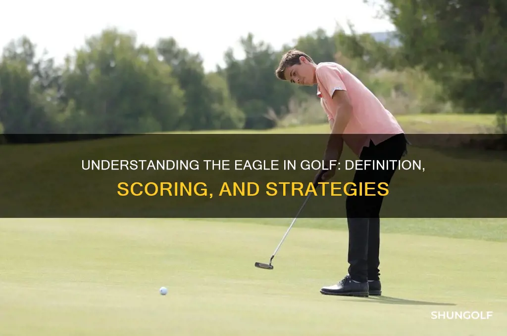 what is a eaglr in golf