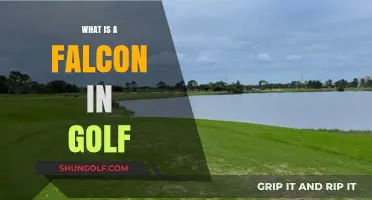 Understanding the Falcon: A Unique Golf Scoring Term Explained