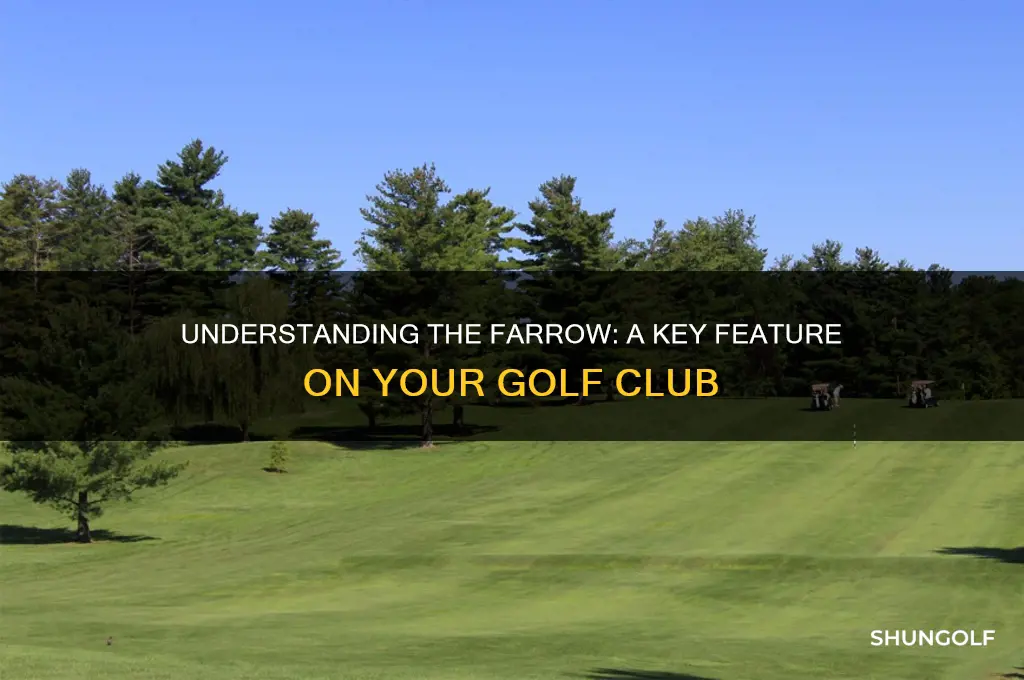 what is a farrow on a golf club