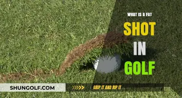Mastering the Fat Shot: A Golfer's Guide to Recovery