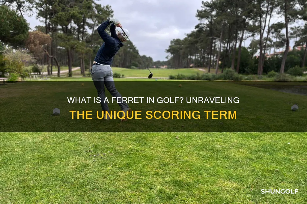 what is a ferret in golf