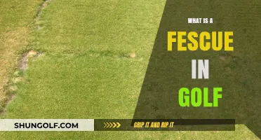 Understanding Fescue: Its Role and Impact on Golf Course Strategy