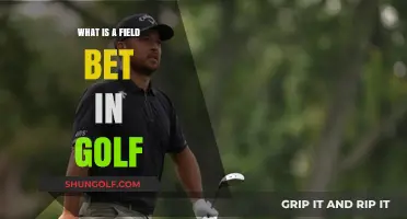 Understanding Golf's Field Bet: Rules, Payouts, and Strategies Explained