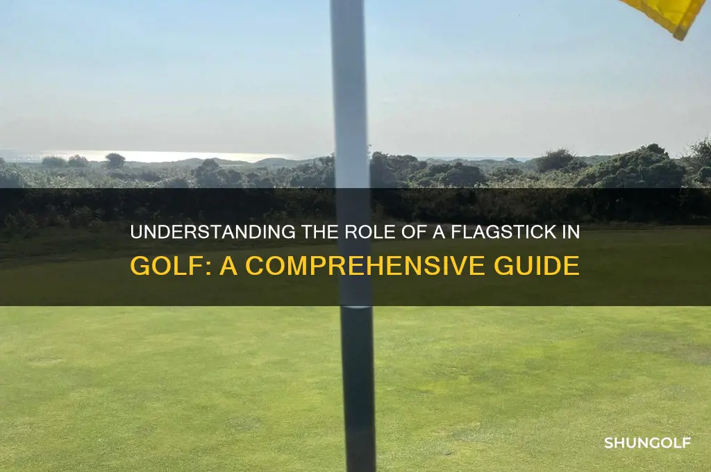 what is a flagstick in golf
